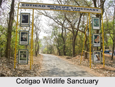 Wildlife Sanctuaries of Goa