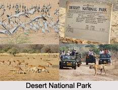 Desert National Park, Rajasthan