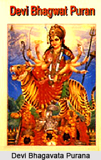 Puranic Texts, Indian Purana