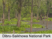 National Parks of Assam