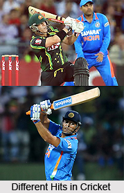 Cricket Shots