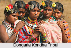 Tribes of Rayagada District