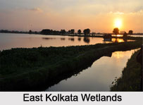 Indian Wetlands