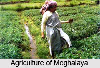 Economy of Meghalaya