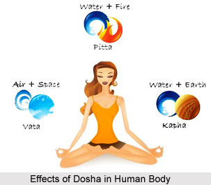 Functions of the Doshas, Ayurveda
