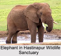 Uttar Pradesh Eco Parks