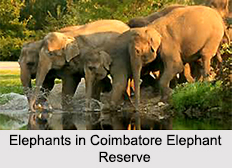 Elephant Reserves in India