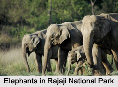 Uttaranchal Eco Parks