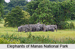Cachar Hills District, Assam