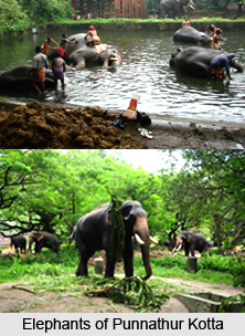 Punnathurkotta, Thirssur District, Kerala