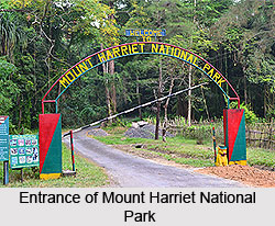 Mount Harriet, Andaman and Nicobar Island
