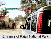Rajaji National Park, National Park in Uttarakhand
