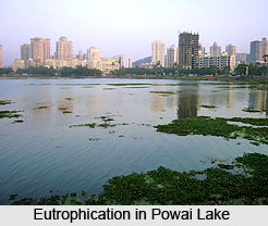 Powai Lake, Maharashtra