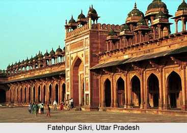 Islamic Art in Northern India