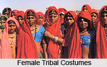 Tribal Costumes of Rajasthan