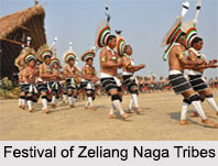 Zeliang Naga Tribes, Tribes of Nagaland