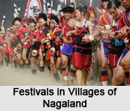 Villages of Nagaland, Villages of India