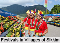 Villages of Sikkim, Villages of India