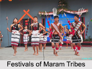 Maram Tribes, Tribes of Manipur
