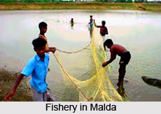 Geography of Malda District, West Bengal