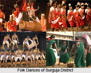 Surguja District