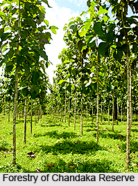 Chandaka Elephant Reserve