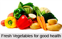 Diet Plan for Healthy Living