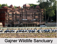 Tourism in Bikaner