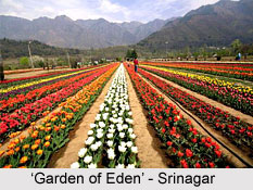 Srinagar,Jammu & Kashmir