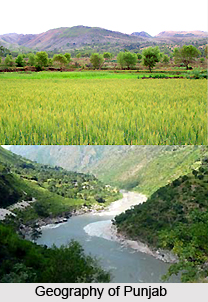Punjab, Indian state