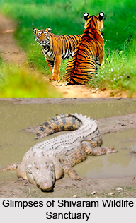 Manthani, Telangana