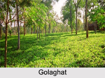 Rural Tourism in Assam