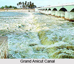 River Kaveri In Tamil Nadu, Indian River
