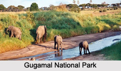 National Parks of Maharashtra