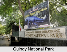 National Parks of Tamil Nadu