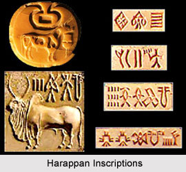 Indus Valley Civilisation