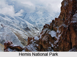 Hemis National Park, National Park in Jammu and Kashmir