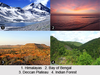 Geological History of India