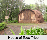 Toda Tribe, Tribes of Karnataka