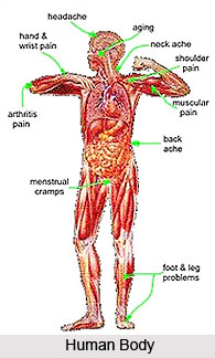 Treatments in Magnet Therapy