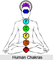 Grounding the Mooladhara Chakra