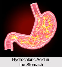 Causes for Gastritis