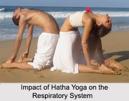 Human Body and Hatha Yoga