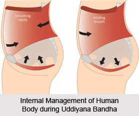 Uddiyana Bandha