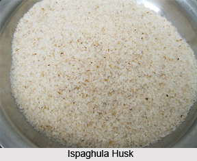 Ispaghula, Indian Herb