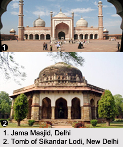 Historical Monuments of Delhi, Indian Monuments