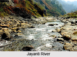 Jayanti, Alipurduar District, West Bengal