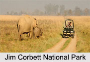 National Parks of North India