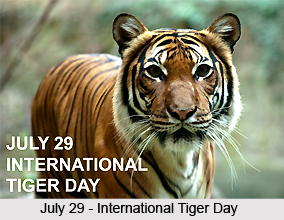 Project Tiger in India