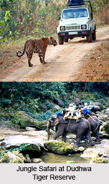 Dudhwa Tiger Reserve